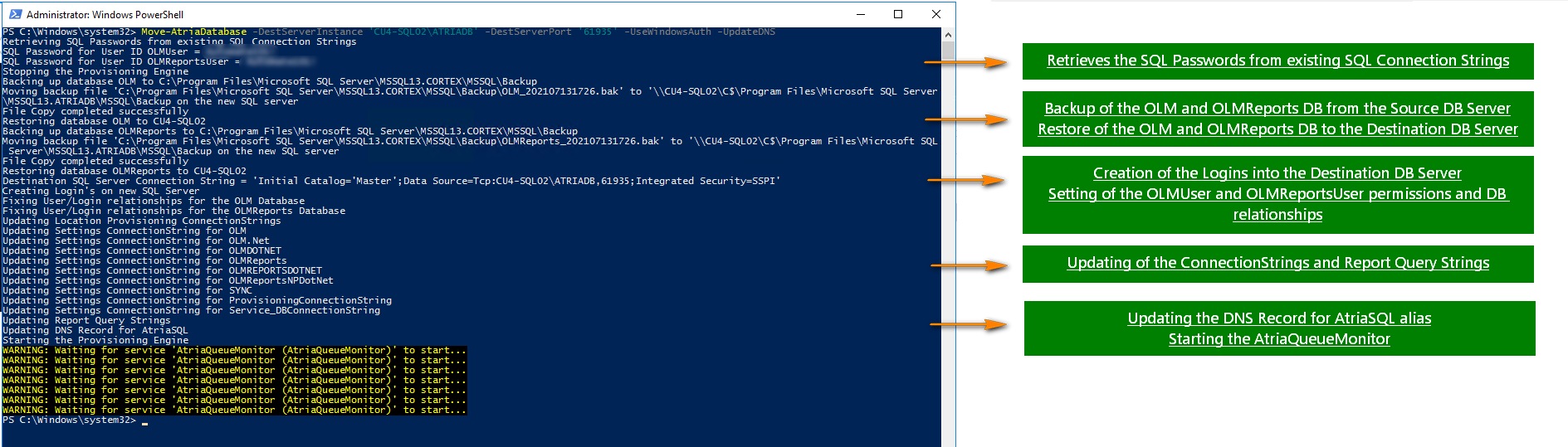 Migrate Database