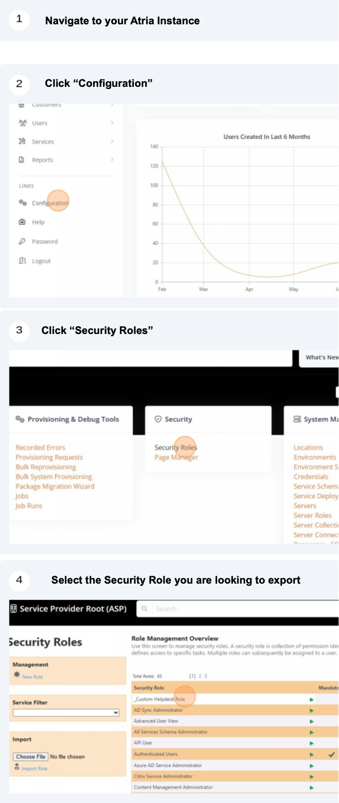 Export Security Roles